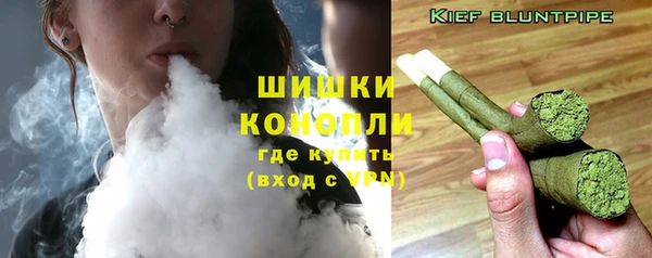 spice Карпинск