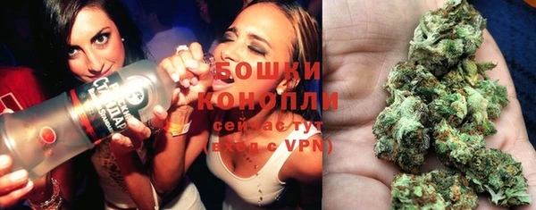 spice Карпинск