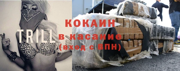 тгк Касимов