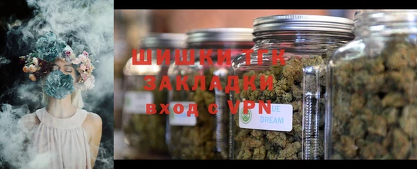 spice Карпинск
