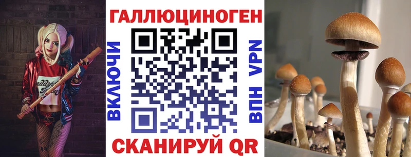 ОМГ ОМГ как войти  купить  сайты  Старый Оскол  Псилоцибиновые грибы GOLDEN TEACHER 