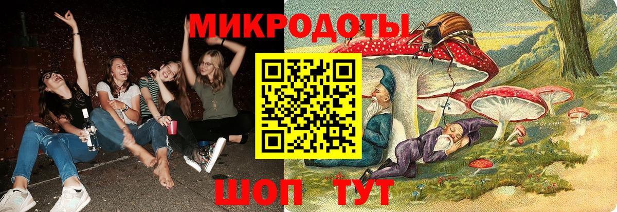 Псилоцибиновые грибы прущие грибы Старый Оскол
