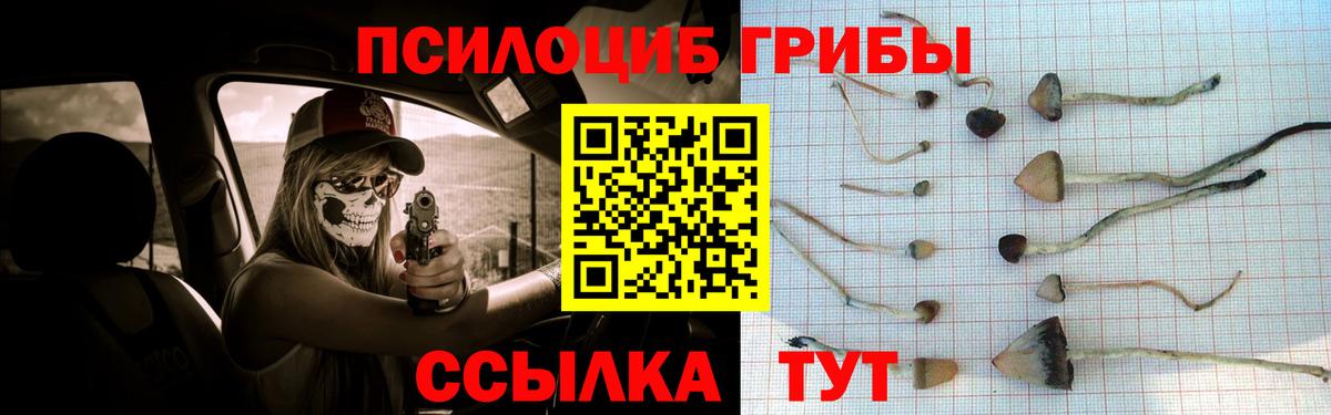 Галлюциногенные грибы прущие грибы  Вход с VPN  Старый Оскол 